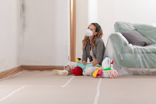 Reliable Mold Remediation contractor in Georgetown, IL by Cheap Mold Removal